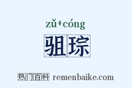 驵琮是什么意思的图片